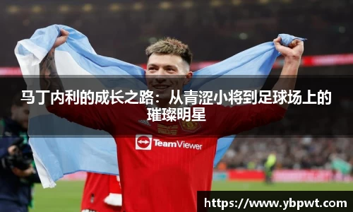马丁内利的成长之路：从青涩小将到足球场上的璀璨明星